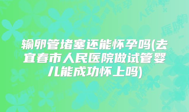 输卵管堵塞还能怀孕吗(去宜春市人民医院做试管婴儿能成功怀上吗)