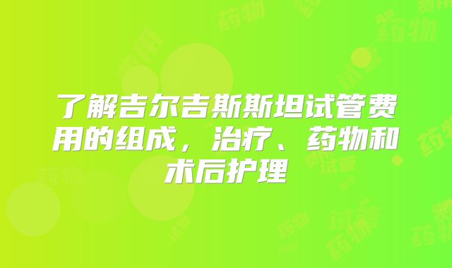 了解吉尔吉斯斯坦试管费用的组成，治疗、药物和术后护理