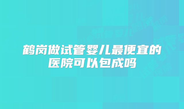 鹤岗做试管婴儿最便宜的医院可以包成吗
