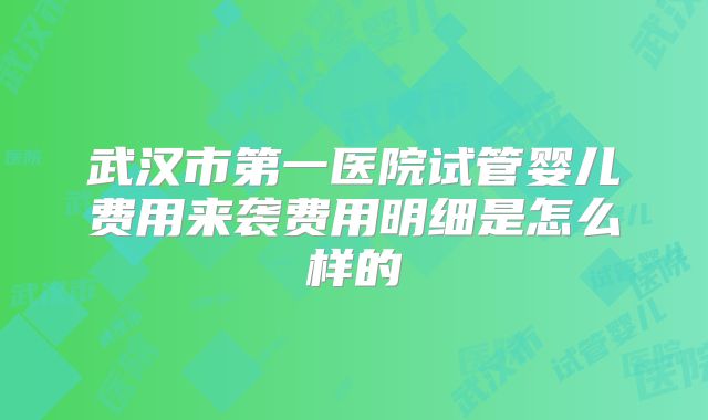 武汉市第一医院试管婴儿费用来袭费用明细是怎么样的