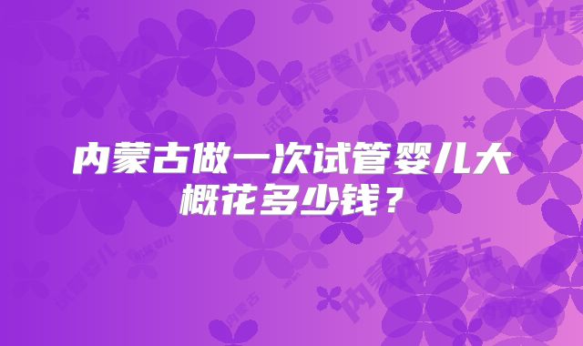 内蒙古做一次试管婴儿大概花多少钱?