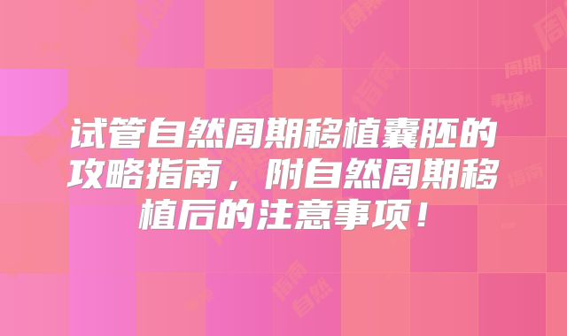 试管自然周期移植囊胚的攻略指南,附自然周期移植后的注意事项!
