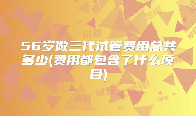 56岁做三代试管费用总共多少(费用都包含了什么项目)