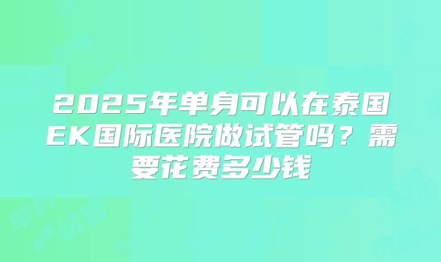 2025年单身可以在泰国EK国际医院做试管吗？需要花费多少钱