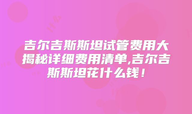 吉尔吉斯斯坦试管费用大揭秘详细费用清单,吉尔吉斯斯坦花什么钱!