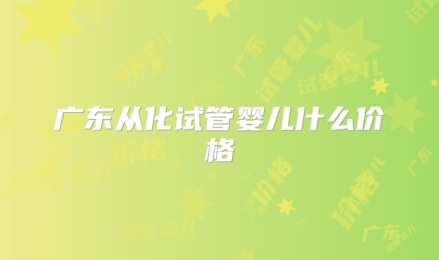 广东从化试管婴儿什么价格