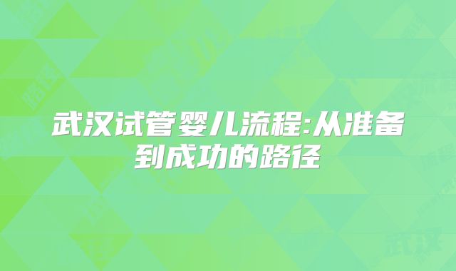 武汉试管婴儿流程:从准备到成功的路径