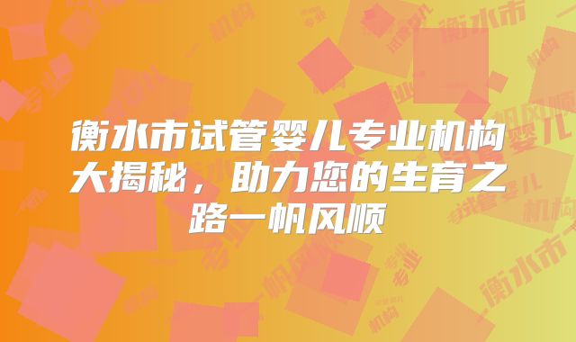 衡水市试管婴儿专业机构大揭秘，助力您的生育之路一帆风顺