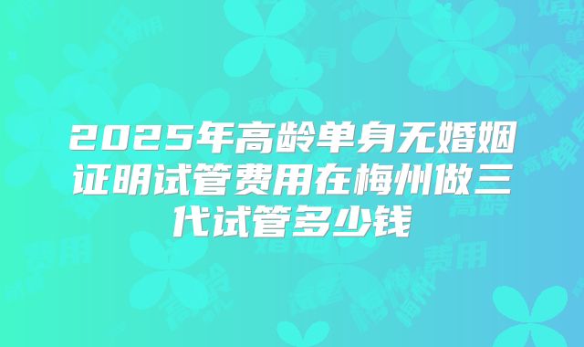 2025年高龄单身无婚姻证明试管费用在梅州做三代试管多少钱