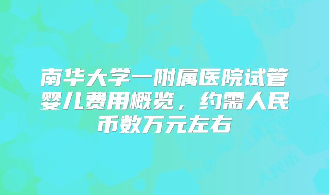 南华大学一附属医院试管婴儿费用概览，约需人民币数万元左右