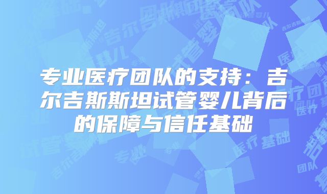 专业医疗团队的支持：吉尔吉斯斯坦试管婴儿背后的保障与信任基础