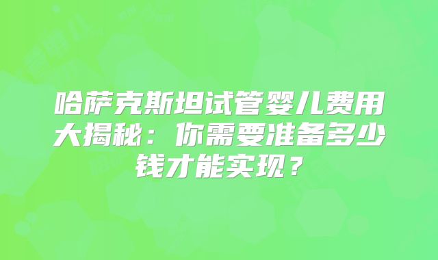 哈萨克斯坦试管婴儿费用大揭秘：你需要准备多少钱才能实现？