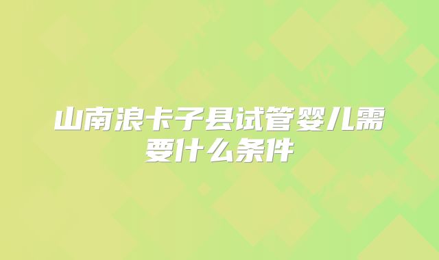 山南浪卡子县试管婴儿需要什么条件