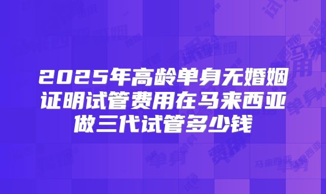 2025年高龄单身无婚姻证明试管费用在马来西亚做三代试管多少钱