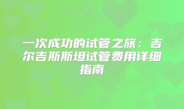一次成功的试管之旅：吉尔吉斯斯坦试管费用详细指南