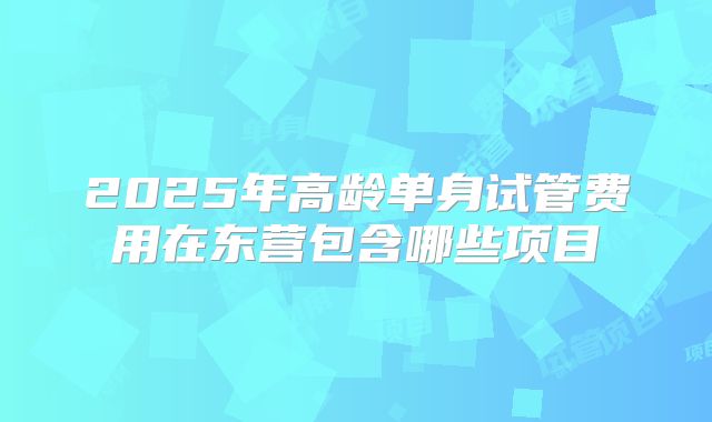 2025年高龄单身试管费用在东营包含哪些项目