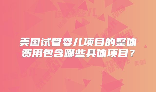 美国试管婴儿项目的整体费用包含哪些具体项目?