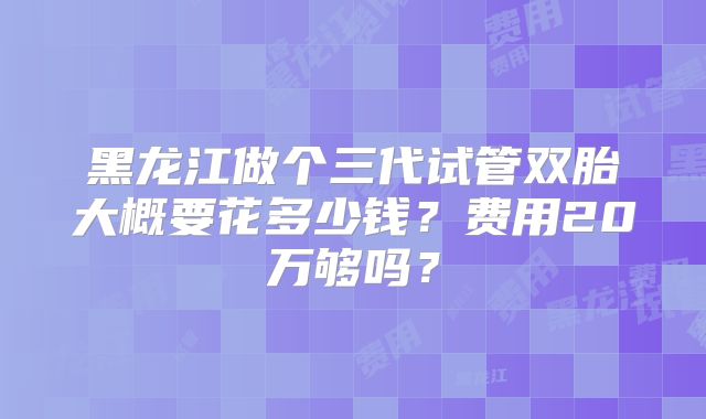 黑龙江做个三代试管双胎大概要花多少钱？费用20万够吗？