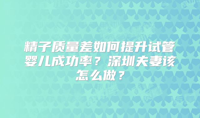 精子质量差如何提升试管婴儿成功率？深圳夫妻该怎么做？