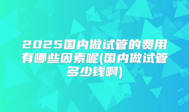 2025国内做试管的费用有哪些因素呢(国内做试管多少钱啊)