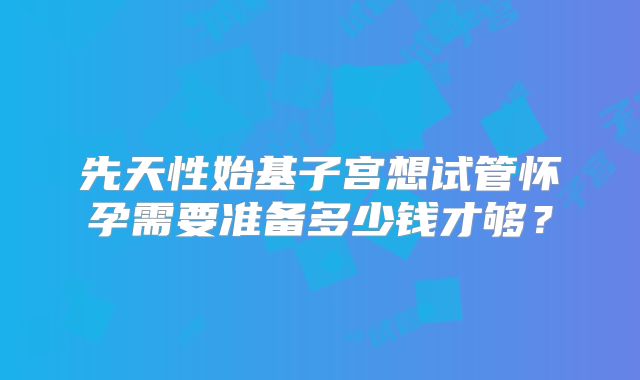 先天性始基子宫想试管怀孕需要准备多少钱才够？