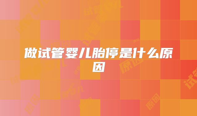 做试管婴儿胎停是什么原因