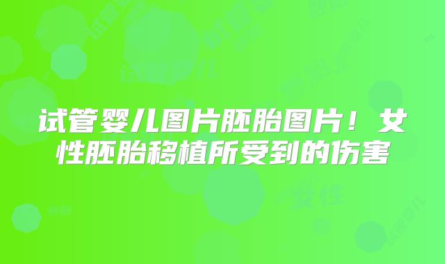 试管婴儿图片胚胎图片!女性胚胎移植所受到的伤害