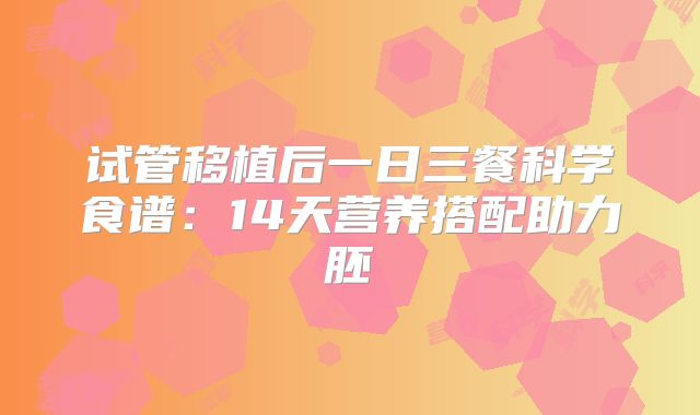 试管移植后一日三餐科学食谱:14天营养搭配助力胚