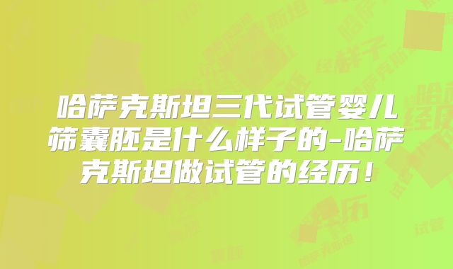 哈萨克斯坦三代试管婴儿筛囊胚是什么样子的-哈萨克斯坦做试管的经历！