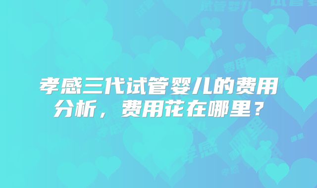 孝感三代试管婴儿的费用分析，费用花在哪里？