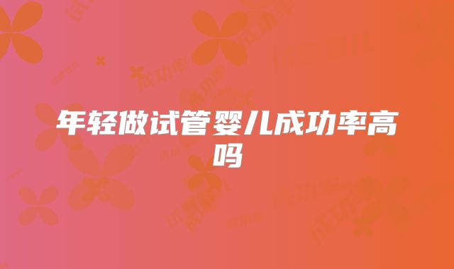 年轻做试管婴儿成功率高吗