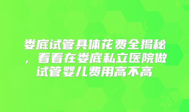 娄底试管具体花费全揭秘,看看在娄底私立医院做试管婴儿费用高不高
