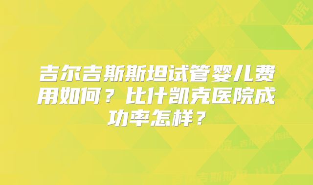 吉尔吉斯斯坦试管婴儿费用如何?比什凯克医院成功率怎样?