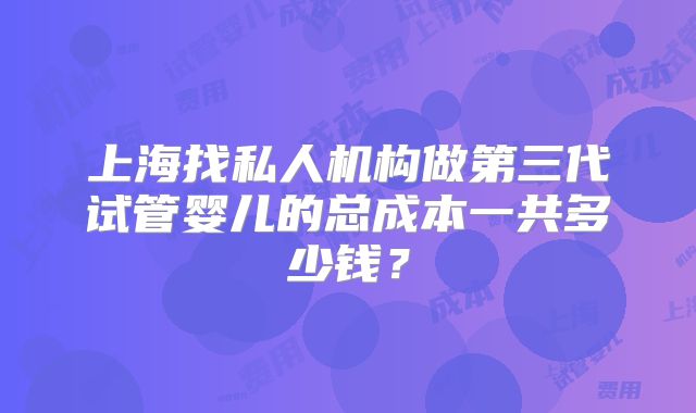 上海找私人机构做第三代试管婴儿的总成本一共多少钱?