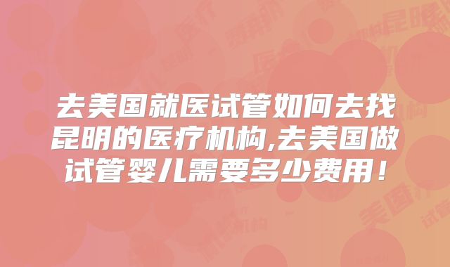 去美国就医试管如何去找昆明的医疗机构,去美国做试管婴儿需要多少费用！