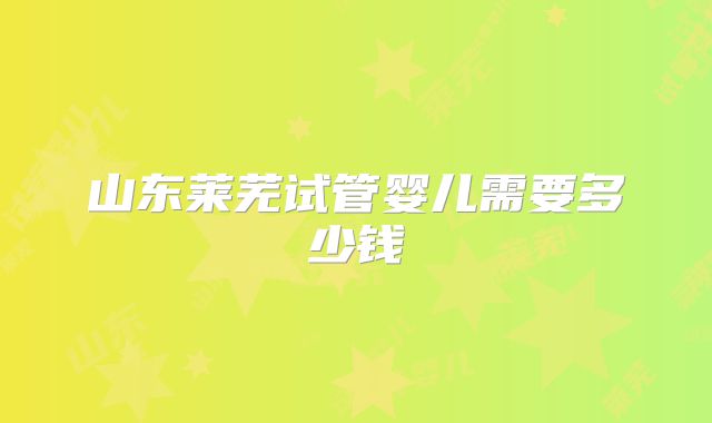 山东莱芜试管婴儿需要多少钱