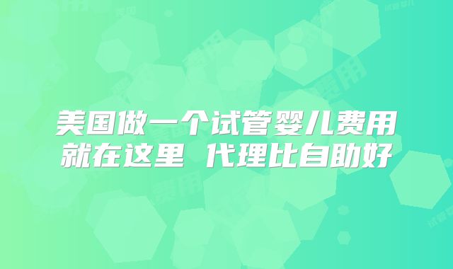 美国做一个试管婴儿费用就在这里 代理比自助好