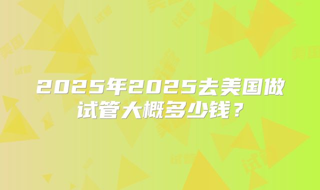 2025年2025去美国做试管大概多少钱？