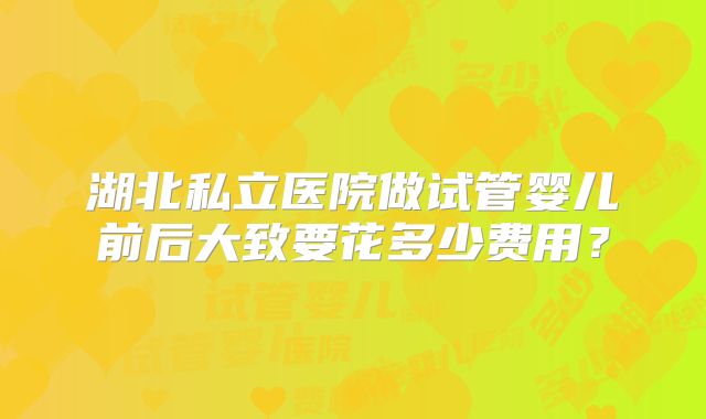 湖北私立医院做试管婴儿前后大致要花多少费用？