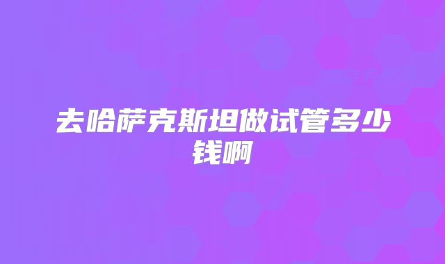 去哈萨克斯坦做试管多少钱啊