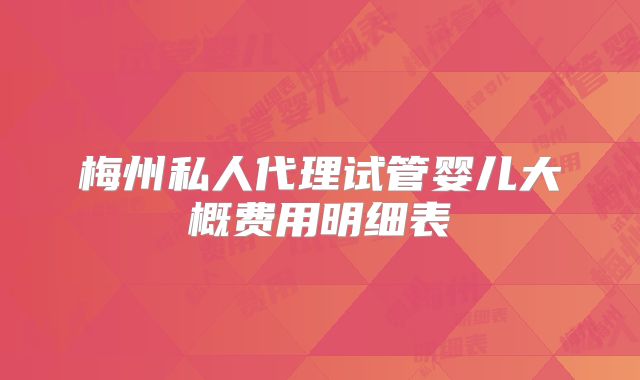 梅州私人代理试管婴儿大概费用明细表