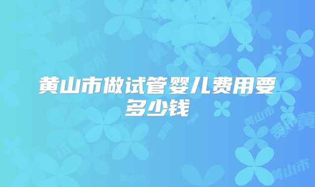 黄山市做试管婴儿费用要多少钱