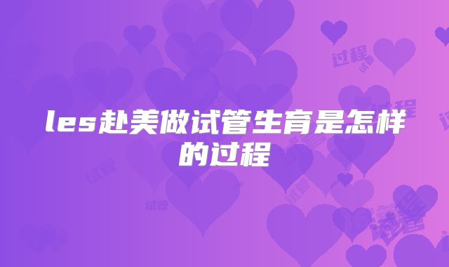 les赴美做试管生育是怎样的过程