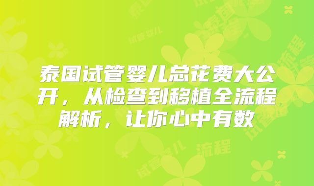 泰国试管婴儿总花费大公开,从检查到移植全流程解析,让你心中有数