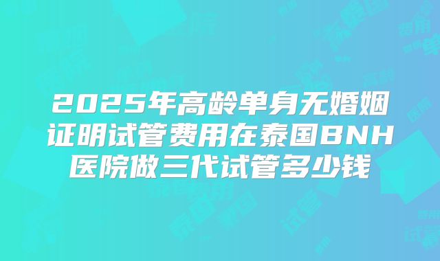 2025年高龄单身无婚姻证明试管费用在泰国BNH医院做三代试管多少钱