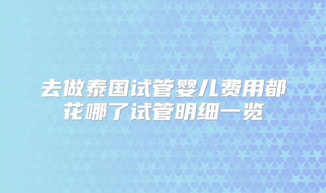 去做泰国试管婴儿费用都花哪了试管明细一览