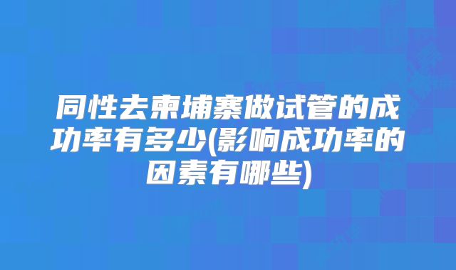 同性去柬埔寨做试管的成功率有多少(影响成功率的因素有哪些)