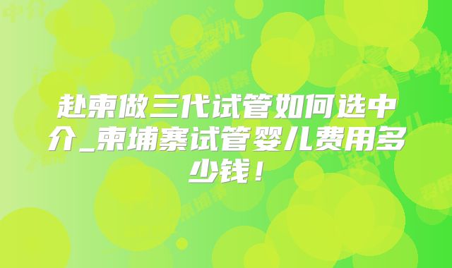赴柬做三代试管如何选中介_柬埔寨试管婴儿费用多少钱!