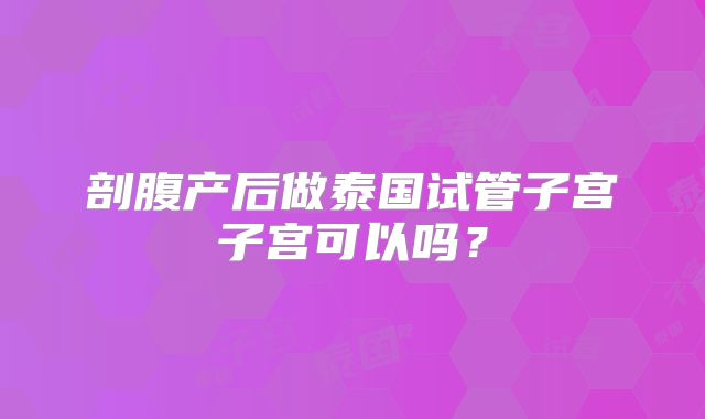 剖腹产后做泰国试管子宫子宫可以吗？