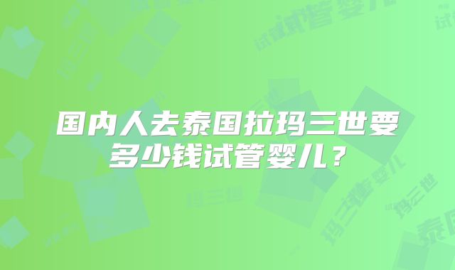 国内人去泰国拉玛三世要多少钱试管婴儿？